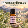 Himalaya Artemisiası – Esansiyel Yağ