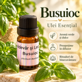 Busuioc – Ulei Esențial