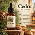Cedru – Ulei Esențial