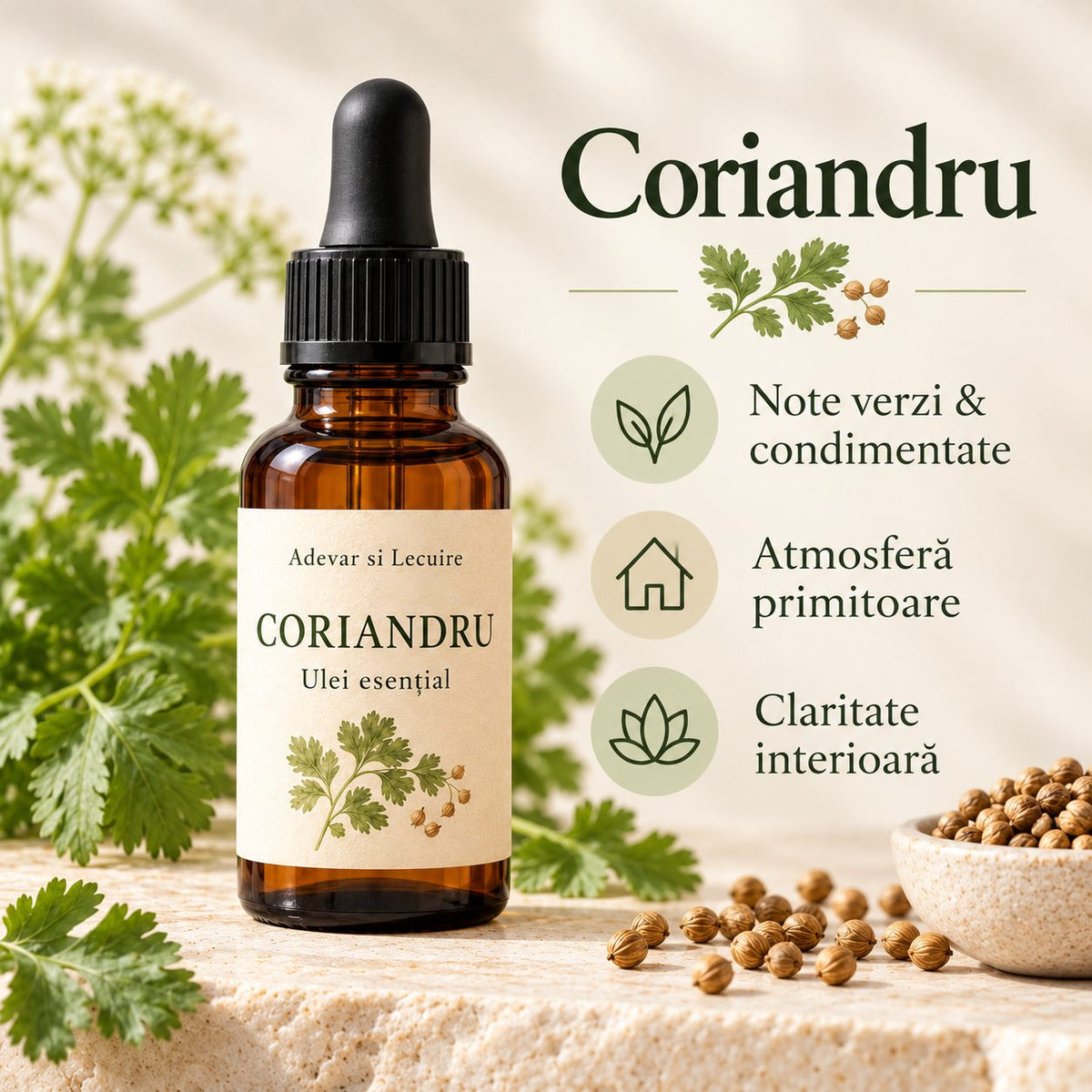 Coriandru - Ulei esențial (10ml, 30ml, 50ml sau 100ml)