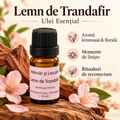 Gül Ağacı – Esansiyel Yağ