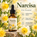Narcisa – Ulei Esențial