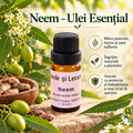Neem – Esansiyel Yağ