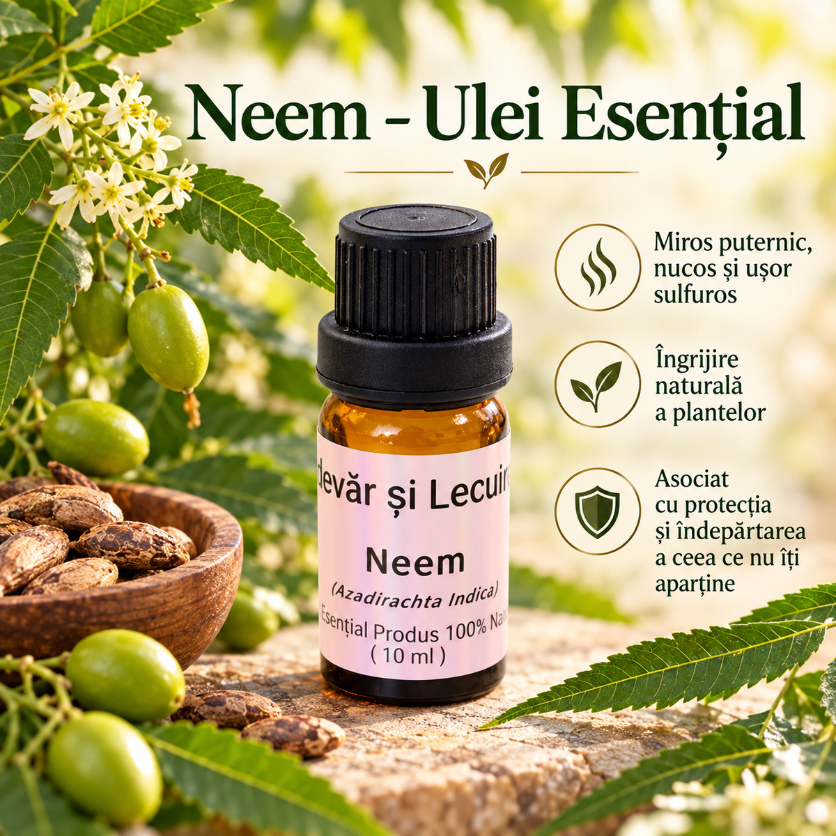 Neem – Esansiyel Yağ