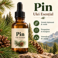 Pin – Ulei Esențial