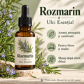 Rozmarin – Ulei Esențial