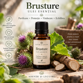 Brusture – Ulei esențial, Adevar si Lecuire