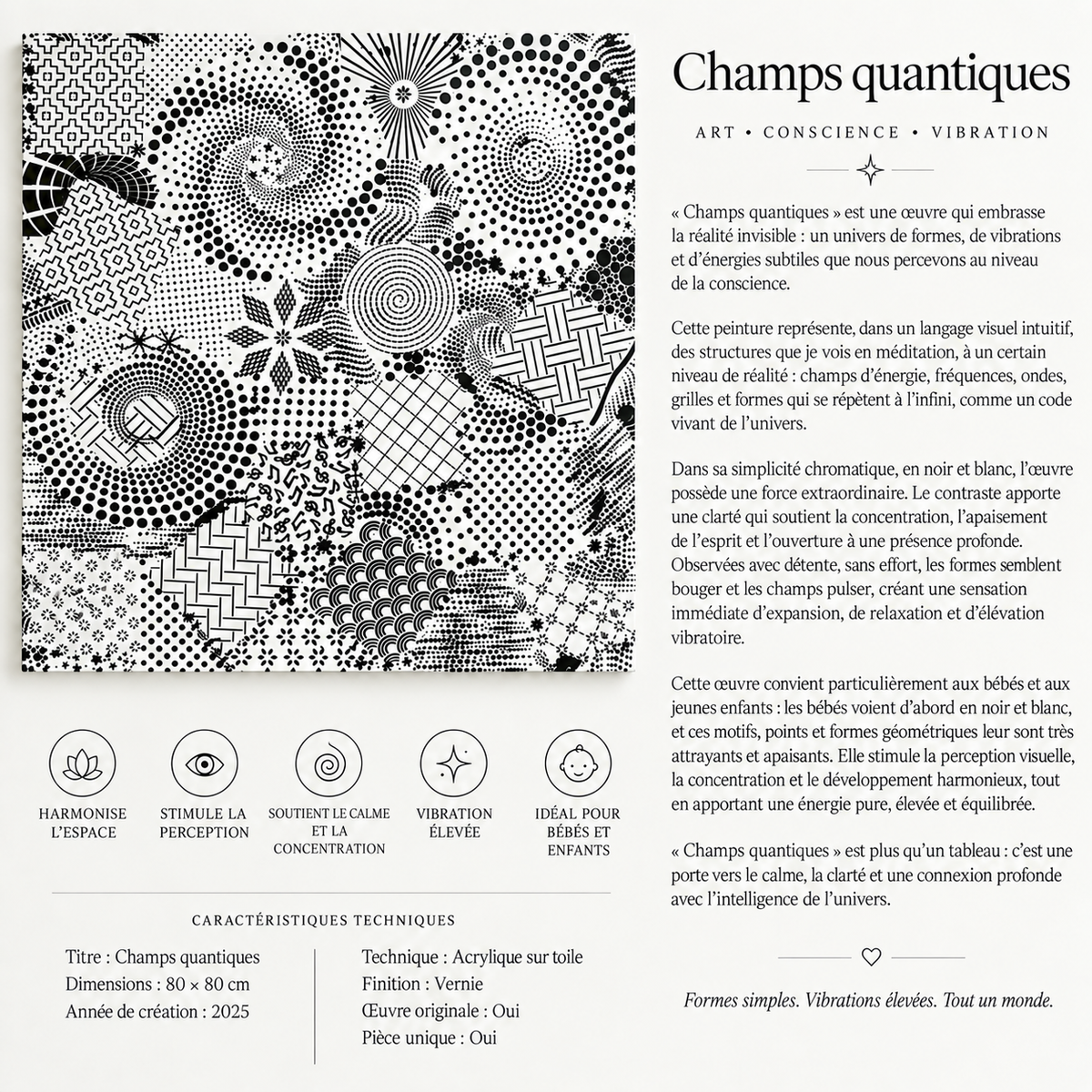 Champs quantiques – Présentation de l’œuvre et caractéristiques techniques