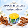 Lumânare cu Cassia – Căldură • Prosperitate • Stimulare – Adevăr și Lecuire