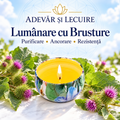 Lumânare cu Brusture – Purificare • Ancorare • Rezistență – Adevăr și Lecuire