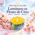 Lumânare cu Floare de Cireș – Bucurie • Reînnoire • Dulceață – Adevăr și Lecuire