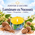 Lumânare cu Nucșoară – Viziune • Prosperitate • Căldură – Adevăr și Lecuire