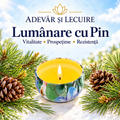 Lumânare cu Pin – Vitalitate • Prospețime • Rezistență – Adevăr și Lecuire