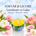 Lumânare cu Lalea – Eleganță • Reînnoire • Iubire – Adevăr și Lecuire