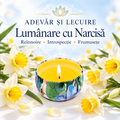 Lumânare cu Narcisă – Reînnoire • Introspecție • Frumusețe – Adevăr și Lecuire