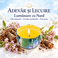 Lumânare cu Nard – Devotament • Liniște profundă • Ancorare – Adevăr și Lecuire