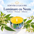 Lumânare cu Neem – Purificare • Protecție • Eliberare – Adevăr și Lecuire