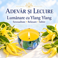 Lumânare cu Ylang Ylang – Senzualitate • Relaxare • Iubire – Adevăr și Lecuire