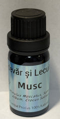 musc adevar si lecuire