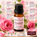 Trandafir – Ulei Esențial